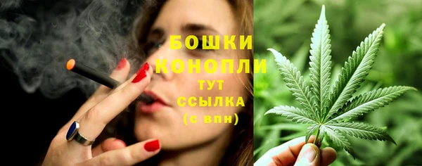 стаф Верхний Тагил