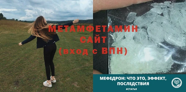 гидра Жердевка