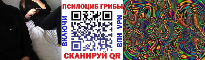 Галлюциногенные грибы Magic Shrooms  hydra зеркало  Новоржев  где продают  